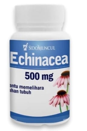 6 Obat Flu Alami yang Manjur Redakan Influenza - Alodokter