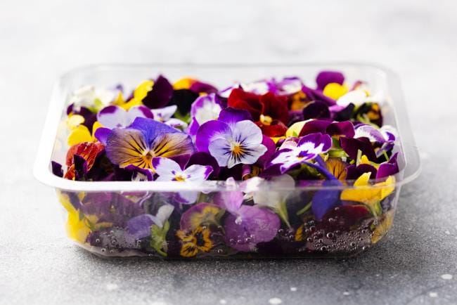 Daftar Bunga yang Bisa Dimakan, Beserta Manfaat dan Tips Mengonsumsinya - Alodokter