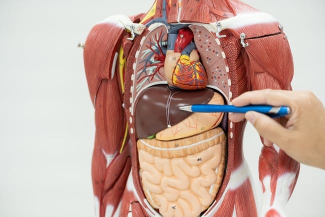 Dokter Spesialis Penyakit Dalam Terbaik di Jakarta Utara - Alodokter