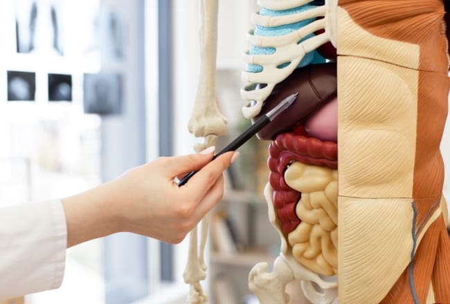 Dokter Spesialis Penyakit Dalam Terbaik di Jakarta Timur - Alodokter