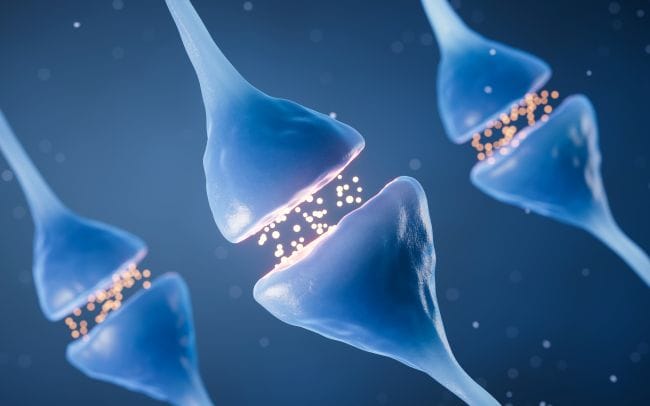 Neurotransmitter, Kunci Komunikasi Otak dan Sistem Saraf - Alodokter