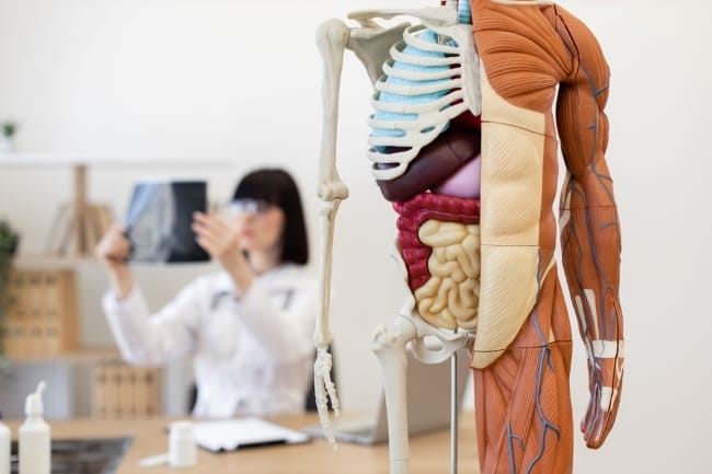 Dokter Spesialis Penyakit Dalam Terbaik di Jakarta Pusat - Alodokter