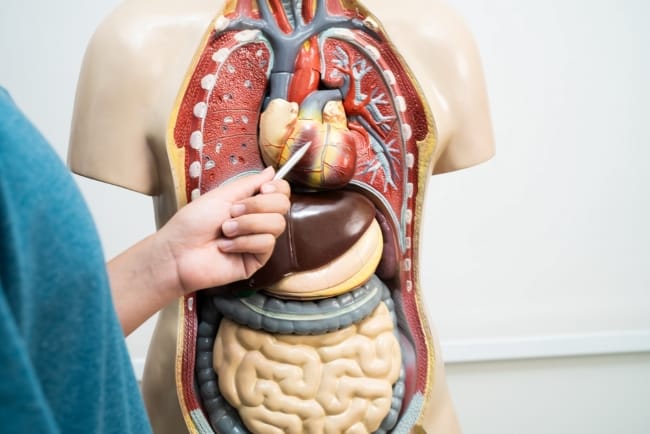 Dokter Spesialis Penyakit Dalam Terbaik di Tangerang - Alodokter