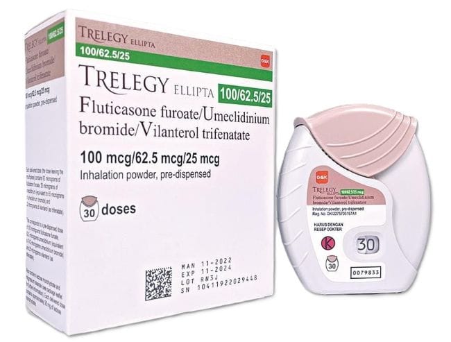 5 Obat Asma agar Tidak Kambuh Lagi yang Bisa Rutin Digunakan - Alodokter