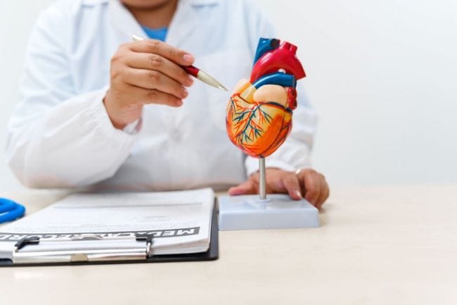 Ventrikel, Ketahui Fungsi dan Gangguan yang Dapat Terjadi - Alodokter