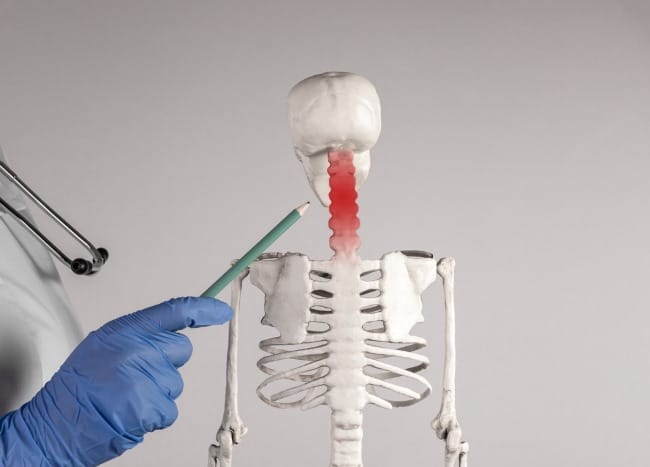 Tulang Leher, Kenali Fungsi dan Gangguan yang Bisa Terjadi - Alodokter