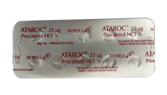 10 Obat Asma Tablet untuk Mengatasi Sesak Napas - Alodokter