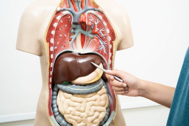 Dokter Spesialis Penyakit Dalam Terbaik di Surabaya - Alodokter