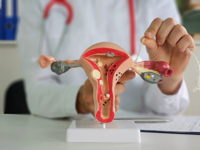 Mengenal Oviduk, Saluran Penting pada Sistem Reproduksi Wanita - Alodokter