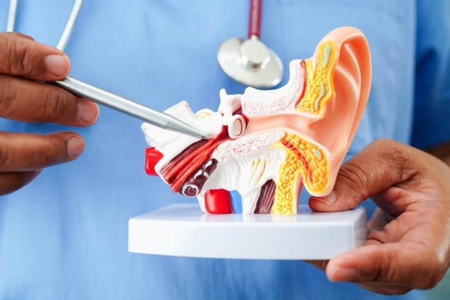 Dokter Spesialis THT Terbaik di Semarang - Alodokter