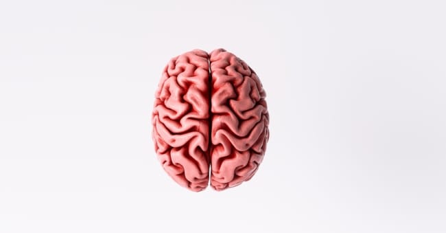 4 Perbedaan Otak Kanan dan Kiri yang Jarang Diketahui - Alodokter