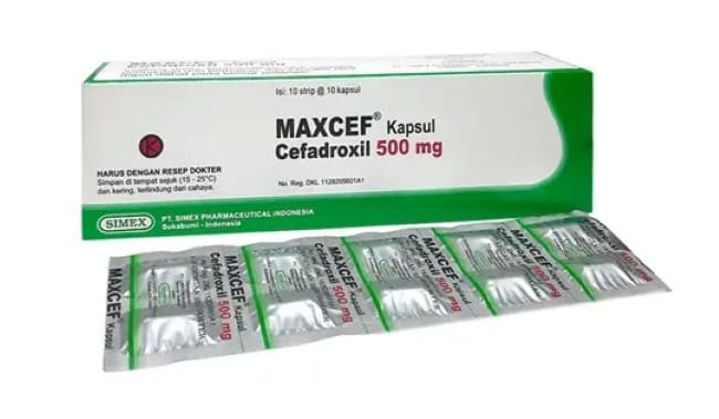 Maxcef