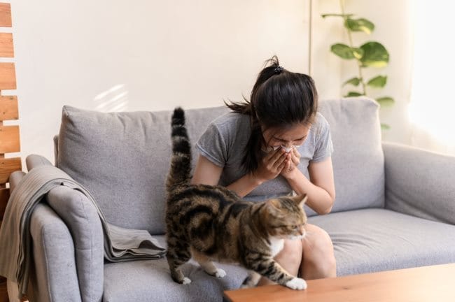 10 Obat Rhinitis Alergi Paling Ampuh di Apotek - Alodokter