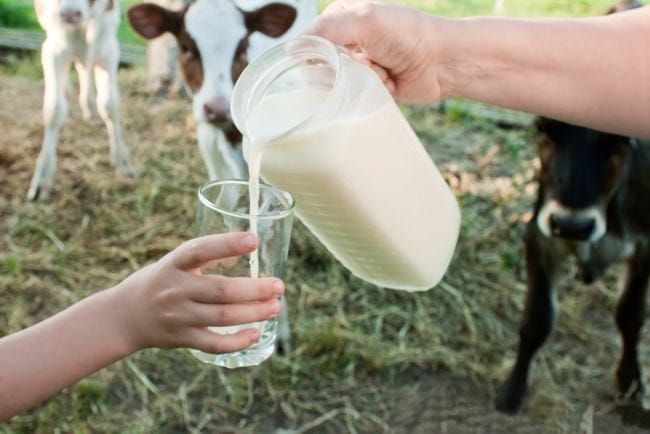 Raw Milk: Pahami Risiko dan Fakta Medis dari Konsumsi Susu Mentah - Alodokter