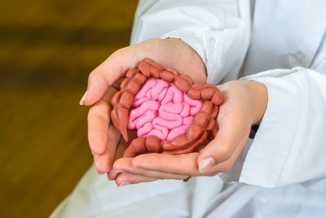 Jejunum, Ketahui Fungsi dan Gangguan yang Perlu Diwaspadai - Alodokter