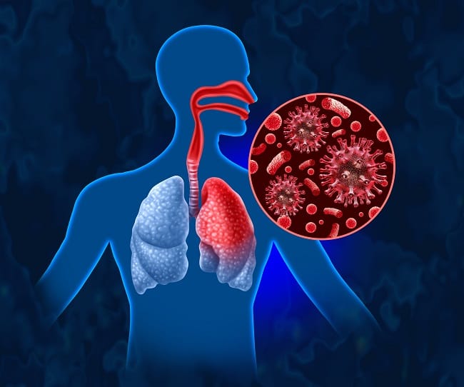 Organ Pernapasan Manusia, Ini Fungsi, Bagian, dan Cara Kerjanya - Alodokter