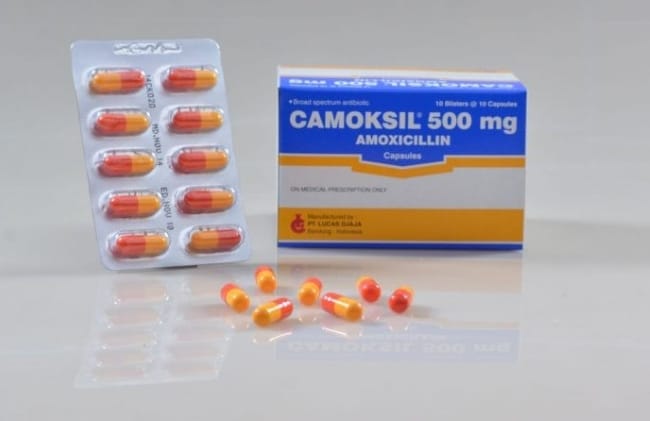 Camoksil