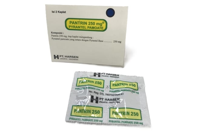 Pantrin