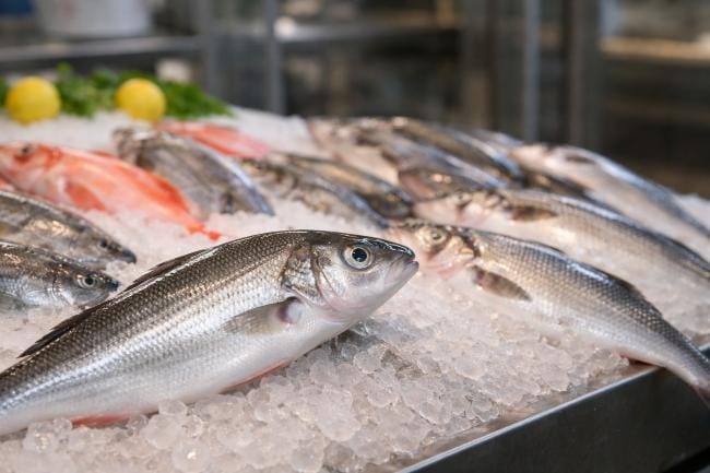 Cara Memilih Ikan Segar agar Aman Dikonsumsi - Alodokter