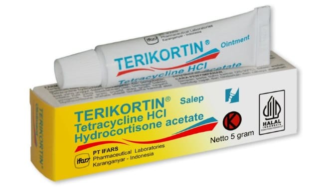 Terikortin