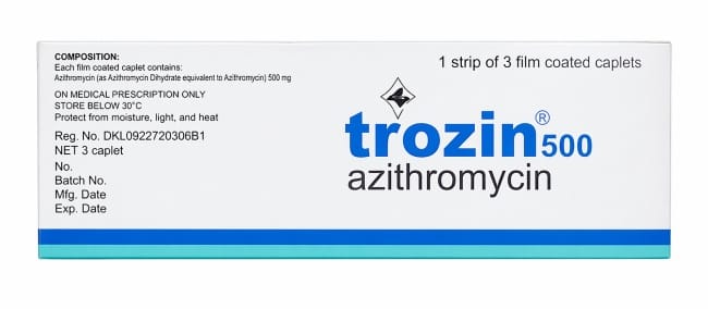 Trozin