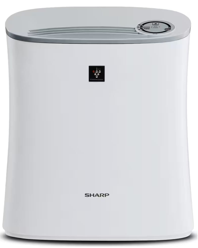 11 Air Purifier Terbaik untuk Menjaga Kualitas Udara di Rumah - Alodokter
