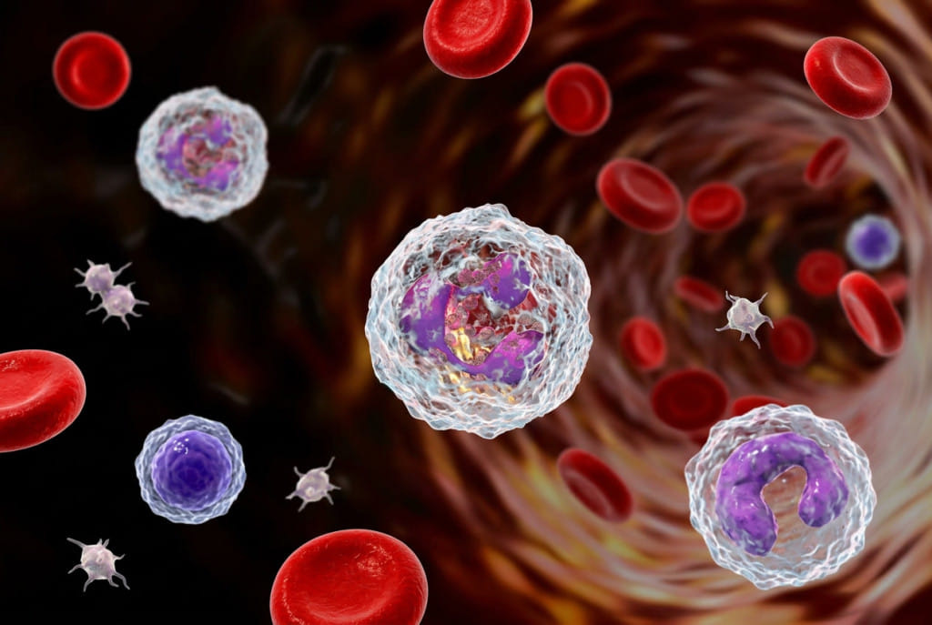 Neutropenia
