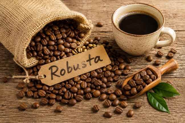 10 Kopi Robusta Terbaik, Kaya Rasa dan Aroma - Alodokter